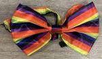 Multi Color Bow Tie