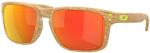 Oakley Holbrook Polarized