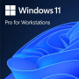 Microsoft Windows 11 Professional For Workstation