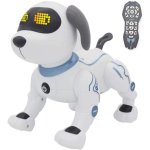 TIME2PLAY Stunt Dog Remote Control Robot