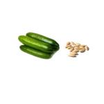Umuthi Cucumber Seed Oil - Cold Pressed - 100ML