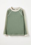 Cotton On Flynn Long Sleeve Raglan Rash Vest - Swag Green rib Stripe Panel