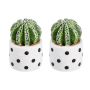 2 Pack - Decorative Succulent Figurine Dotted Pot - Multi-colour