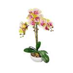 Artificial Phalaenopsis In Pot - White pink