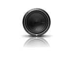 Rockford Fosgate P2D2-10 Punch 10 P2 2-OHM Dvc Subwoofer