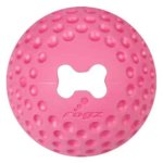 Rogz Gumz Medium 64MM Dog Treat Ball Interactive Dog Toy Waggs Pet Shop