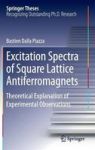 Excitation Spectra Of Square Lattice Antiferromagnets - Theoretical Explanation Of Experimental Observations Hardcover 1ST Ed. 2