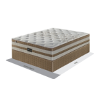 Sealy Argo 152CM Queen Firm Bed Set Standard Length