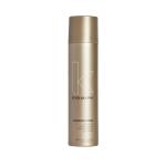 Session.spray Finishing Spray 400ML
