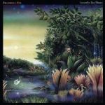 Tango In The Night Vinyl Record