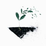 Eco Pellets Organic Fertiliser 40KG