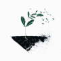 Eco Pellets Organic Fertiliser 40KG