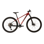 Avalanche Reflex 29ER Team 2026 - L