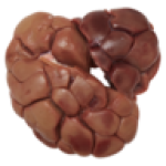 Ox Kidney Per Kg