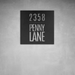 House Number D21 - 300 X 300 Matt Silver No