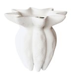 White Seapod Fluted Ceramic Vase