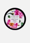 Milk & Honey Body Scrub
