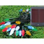 Killer Deals Solar LED Garden Lights SOLAR01 - Best Bargains Online