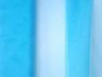 English Tulle