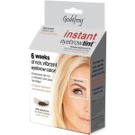 Godefroy Instant Eyebrow Tint Kit Light Brown