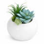 Ceramic Artificial Succulent Arrangement - White/blue