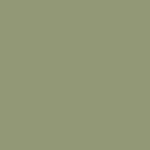 Botanical Buzz – Eggshell