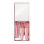 5 Piece Portable MINI Hot Travel Size Makeup Brush Set With Mirror
