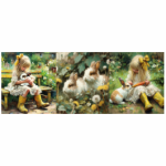 FSC0317 Cosmetic 35CM