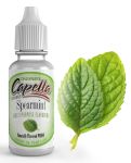 Spearmint Concentrate - 10ML