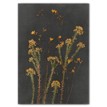 Night Garden 5 Art Print - A2 Framed Canvas With Natural Wood Frame