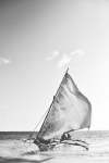 Wind In The Sails Art Print - Matte Fine Art Print No Frame A2