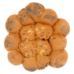 Braai Ring Rolls 500G