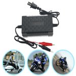 12V 2A Pulse Charger