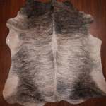 Nguni Hide Rug Smoky Marbled Brindle 255 X 250 Cm No. 1103 - Brindle Extra Extra Large