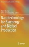 Nanotechnology For Bioenergy And Biofuel Production Hardcover 1ST Ed. 2017