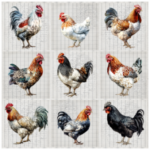 Tear Resistant Deco Print French Chickens 9'S