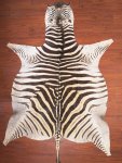 A Grade Zebra Hide 039 L