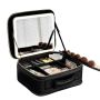 Professional Cosmetics Storage Bag With Mirror Makeup Box And LED Lighting