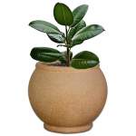 Oval Plant Pot - Medium 500MM X 600MM Amper