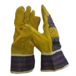 Glove - Pig Skin - Candy - Stripe