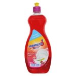 Exotic Berries Dishwashing Liquid 750ML