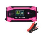 12V 24V Intelligent Pulse Repair Charger
