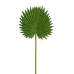 GREE N Palm Stem D-15CM