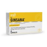 Ginsana Immunity And Endurance Capsules 60S