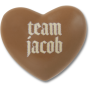 Twilight Team Jacob Jibbitz - Multi / Osfa