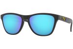 Hugo Boss HG1377 G