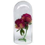 Aquarium Glass Dome 15 W X 31 H Cm