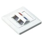 Netix Angled Face Plate Dual Port With Shuttle