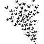 Flying Butterflies Vinyl Wall Decor