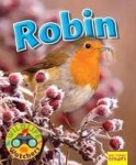 Wildlife Watchers: Robin 2017 Paperback